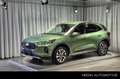Ford Kuga 2.5 PHEV Titanium nieuw te bestellen Groen - thumbnail 1