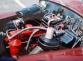 Volvo PV544 PV444 HS   1954 Rosso - thumbnail 12