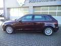 Audi A3 ambiente Alufelgen Sitzheizung Berganfahr S-Tronic Червоний - thumbnail 5