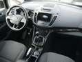 Ford C-Max Titanium Kamera NAVI Winter-Paket AHK Park-Assist Gris - thumbnail 14
