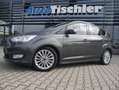 Ford C-Max Titanium Kamera NAVI Winter-Paket AHK Park-Assist Gris - thumbnail 1