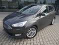 Ford C-Max Titanium Kamera NAVI Winter-Paket AHK Park-Assist Gris - thumbnail 5