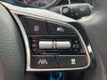 Kia XCeed 1.5 T-GDI Vision Automatik Blau - thumbnail 14