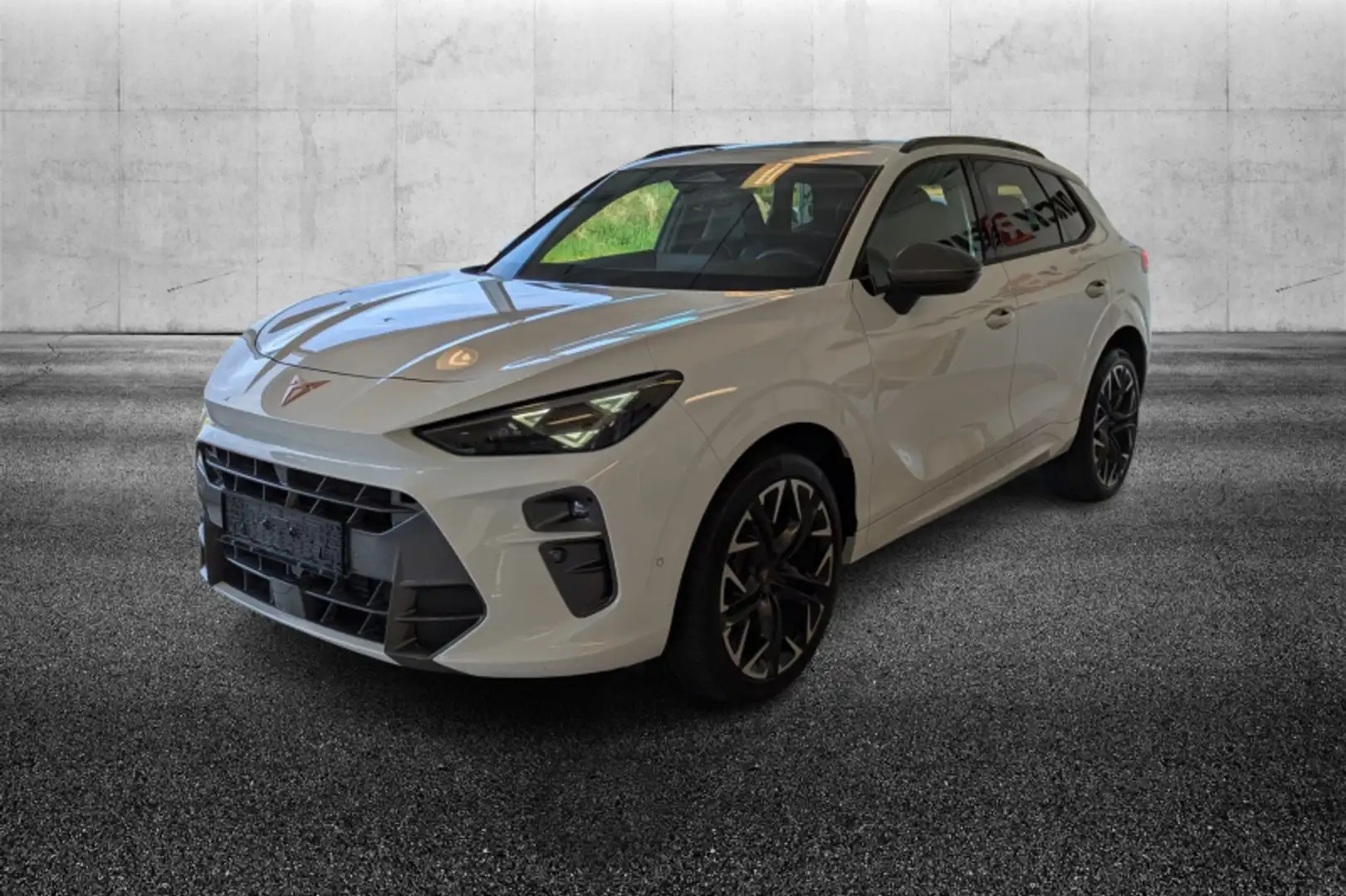 CUPRA Terramar 2.0 TSI DSG 4Drive VZ Bianco - 1