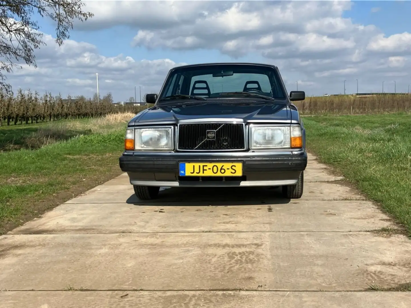 Volvo 240 - Grau - 1