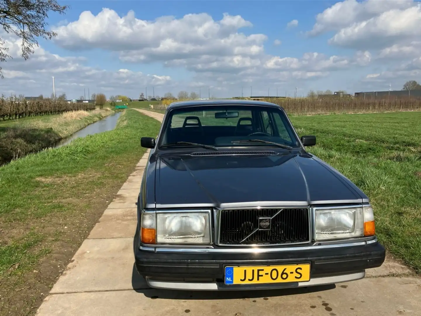 Volvo 240 - Grau - 2
