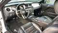 Ford Mustang 5.0 GT V8 Premium. Superauto! White - thumbnail 11