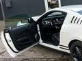 Ford Mustang 5.0 GT V8 Premium. Superauto! Blanc - thumbnail 7