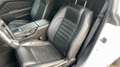 Ford Mustang 5.0 GT V8 Premium. Superauto! Bílá - thumbnail 12
