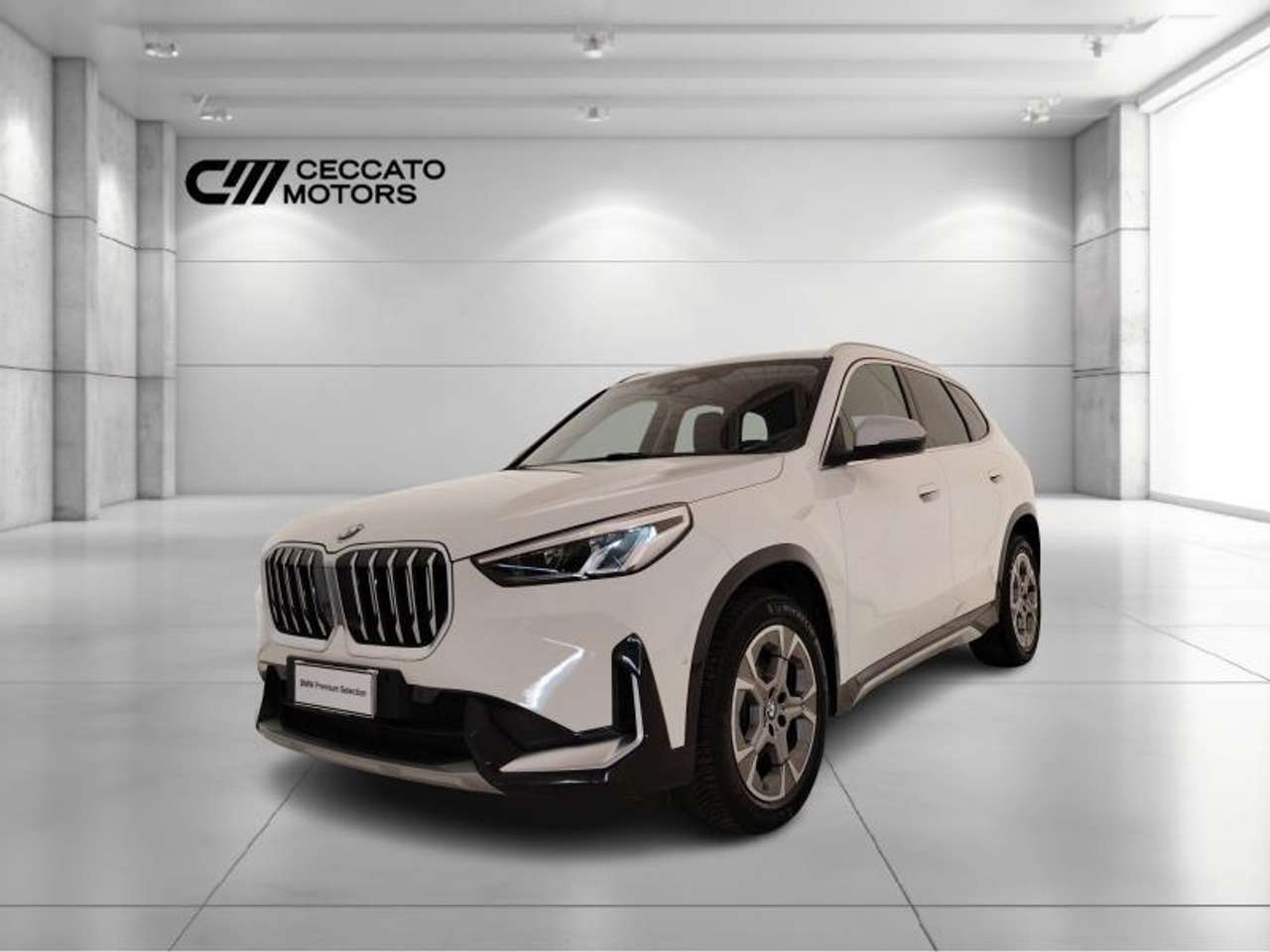 BMW X1 sdrive18d X-Line auto