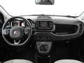 Fiat Panda Cross 1.0 Gse 51kw (70CV) Gris - thumbnail 7