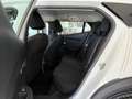 Peugeot 2008 2008 1.5 bluehdi 110 cv Active Pack Telecamera Bianco - thumbnail 7
