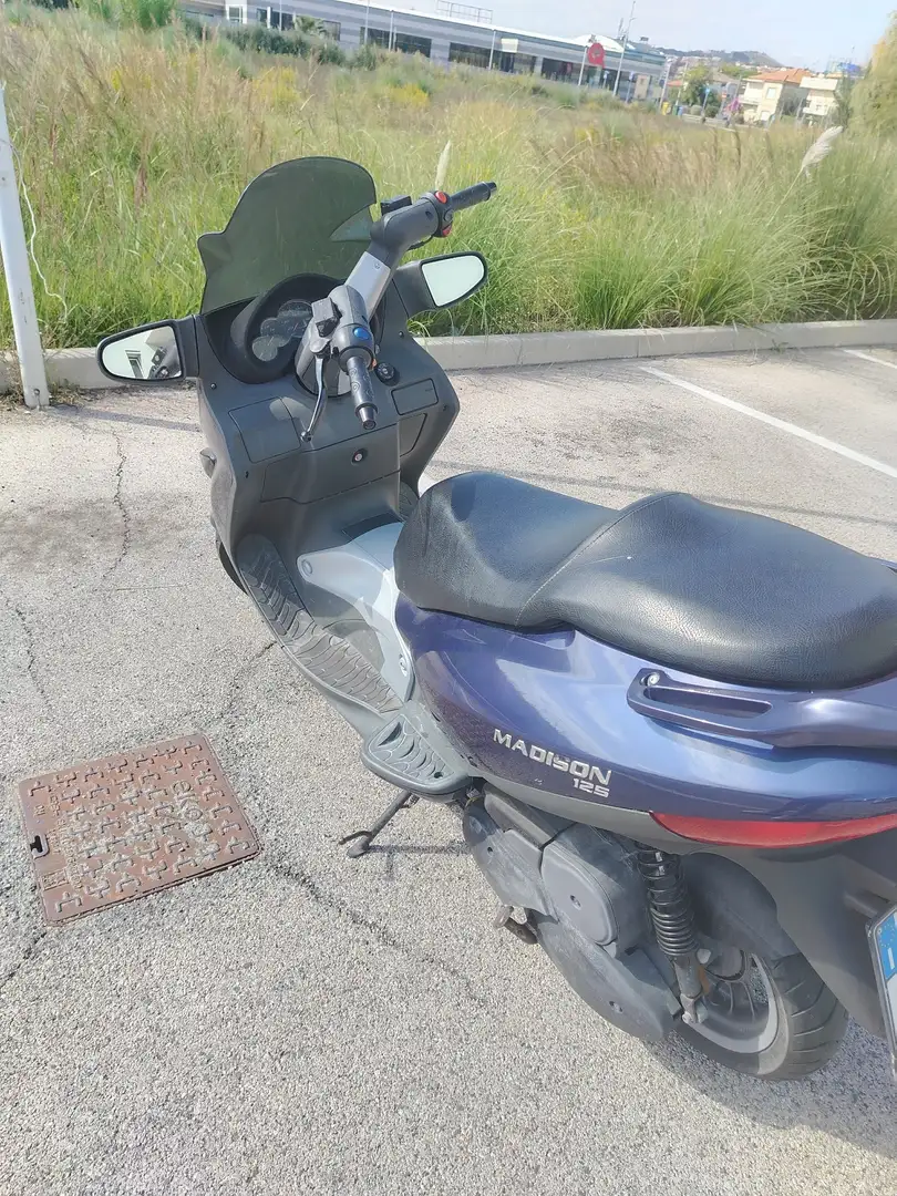 Malaguti Madison 125 Blau - 2