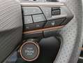 CUPRA Terramar 1.5 eTSI Dinamica Edge-Paket HUD 19" Noir - thumbnail 21