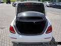 Mercedes-Benz E 220 d AVANTGARDE MULTIBEAM+KAM+TOTW+SHZ+AMB+SP Bianco - thumbnail 16