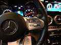 Mercedes-Benz C 300 d AUT. PREMIUM PLUS TETTO PANO RADAR CAM360FULL Zilver - thumbnail 29