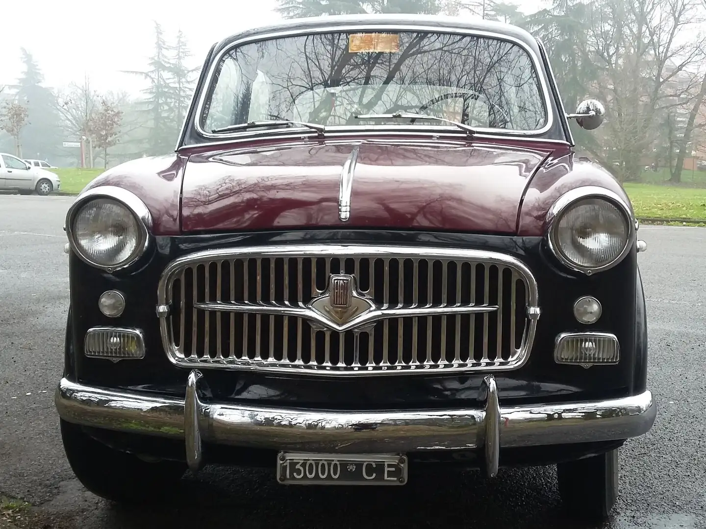 Fiat Fiat 1100 103 E TV Rojo - 2