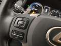 Lexus NX 300h 300h 2.5 Luxury 4wd cvt Negru - thumbnail 19
