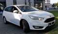 Ford Focus 2.0 TDCi diesel, 150 PS (110 kW), Combi Business Bílá - thumbnail 5