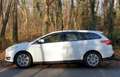 Ford Focus 2.0 TDCi diesel, 150 PS (110 kW), Combi Business Bílá - thumbnail 1