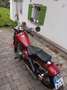 Honda CMX 250 rebell Rood - thumbnail 2