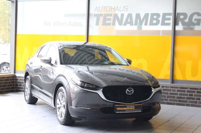 Mazda CX-3 0 Selection 2WD Matrix Bose HuD Navi SR + WR