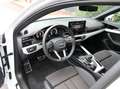 Audi A4 Avant 35 TFSI  S tronic S Line /Virtual/Matrix Weiß - thumbnail 8