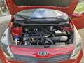 Kia Rio 1.2 CVVT 5-drs Comfort Rouge - thumbnail 15