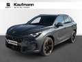 CUPRA Terramar 2.0 TSI 204 PS DSG 4Drive Grau - thumbnail 1