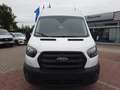 Ford Transit Kasten 350 L4H3 Trend Kamera Navi SHZ Blanc - thumbnail 3