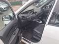 Renault Scenic X-Mod dci 110 Bose Edition Weiß - thumbnail 10