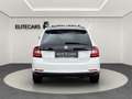 Skoda Rapid/Spaceback 1.0 TSI SPACEBACK LINE / PANOGLAS / TEMPOMAT / RÜ Weiß - thumbnail 5