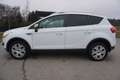 Ford Kuga 2,0 Trend 4x4 TDCI DPF Weiß - thumbnail 3