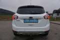 Ford Kuga 2,0 Trend 4x4 TDCI DPF Weiß - thumbnail 5