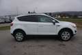 Ford Kuga 2,0 Trend 4x4 TDCI DPF Weiß - thumbnail 7