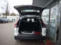 Honda CR-V e HEV i-MMD HYBRID EU6d Hybrid 2.0 Advance AWD All Weiß - thumbnail 6