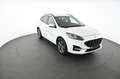 Ford Kuga 5 Duratec Plug-in-Hybrid PHEv ST-Line X Pickerl N Weiß - thumbnail 10