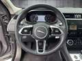 Jaguar F-Pace D300 S Panorama Privacy Memory Šedá - thumbnail 12