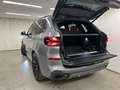 BMW X5 xDrive50e M Sportpaket Pro DA. Prof. PA. Prof. Pan Grau - thumbnail 13