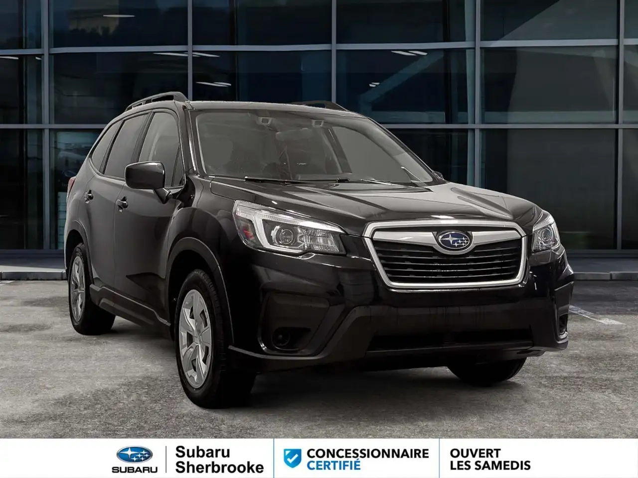 Subaru Forester fotografie Subaru Forester