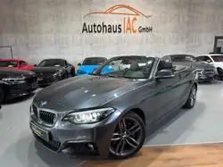 Bmw 225 /Cabrio/d/M Sport/LED/PDC/CARPL