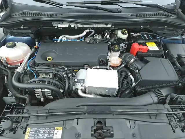 Ford Kuga view 13