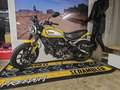 Ducati Scrambler Icon 803 Cafe Racer Amarillo - thumbnail 8