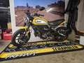 Ducati Scrambler Icon 803 Cafe Racer Amarillo - thumbnail 7