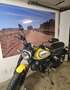 Ducati Scrambler Icon 803 Cafe Racer Amarillo - thumbnail 2