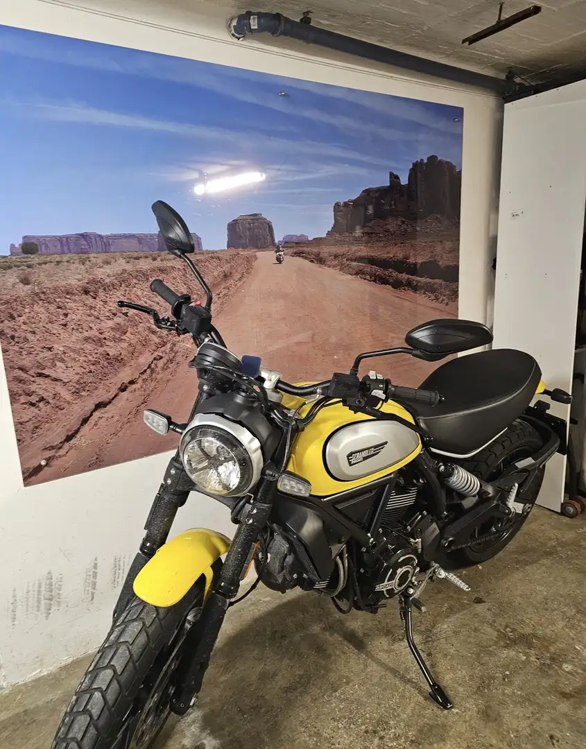 Ducati Scrambler Icon 803 Cafe Racer Amarillo - 2