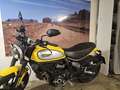 Ducati Scrambler Icon 803 Cafe Racer Amarillo - thumbnail 12
