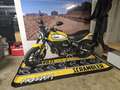 Ducati Scrambler Icon 803 Cafe Racer Amarillo - thumbnail 9