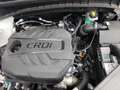 Hyundai TUCSON Tucson 1,6 CRDI 4WD Level 3 Plus Aut. Weiß - thumbnail 5