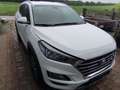 Hyundai TUCSON Tucson 1,6 CRDI 4WD Level 3 Plus Aut. Weiß - thumbnail 4